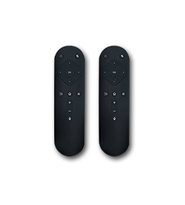 Voice remote control